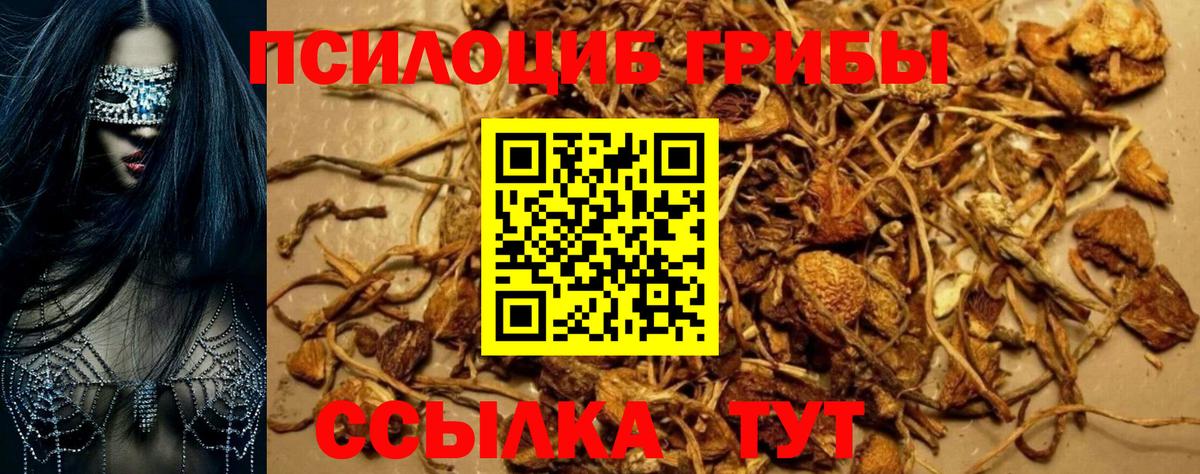 Кропоткин  сколько стоит  Вход с VPN  Галлюциногенные грибы мицелий  Галлюциногенные грибы мухоморы 