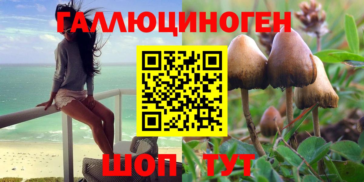 Псилоцибиновые грибы Psilocybine cubensis Кропоткин